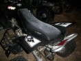 /album/fotogaleria-fotogaleria/a418679-415573561832989-1855628732-n-jpg/
