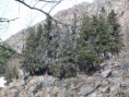 /album/fotogaleria-fotogaleria/a523085-415579718499040-753634989-n-jpg/